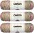 Spinrite Caron Simply Soft Paints Yarn Rose Garden Pack of 3 Skein