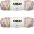 Caron Simply Soft Paints Yarn Baby Brights Pack of 2 Skein