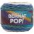 Spinrite Bernat Pop! Skein