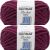 Spinrite Bernat Blanket Extra Yarn Burgundy Plum Pack of 2 Skein