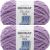 Spinrite Bernat Blanket Extra Yarn Gray Orchid Pack of 2 Skein