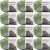 Spinrite Bernat Blanket Big Ball Yarn Forest Sage Pack of 12 Skein