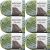 Spinrite Bernat Blanket Big Ball Yarn Forest Sage Pack of 6 Skein