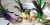 Kbw Women s Venetian Styled Eye Three Multiclor Masks