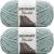 Spinrite Bernat Blanket Big Ball Yarn Misty Green Pack of 2 Skein
