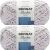 Spinrite Bernat Blanket Twist Yarn Lilac Grove Pack of 2 Skein