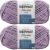 Spinrite Bernat Blanket Twist Yarn Purple Haze Pack of 2 Skein