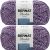 Spinrite Bernat Blanket Twist Yarn Grape Kiss Pack of 2 Skein
