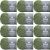 Spinrite Patons Classic Wool Yarn Meadow Pack of 12 Skein