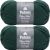 Spinrite Patons Classic Wool Yarn Pine Pack of 2 Skein