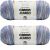 Spinrite Caron Jumbo Print Yarn Harbor Mist Pack of 2 Skein