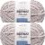Spinrite Bernat Blanket Twist Yarn Dove Pack of 2 Skein