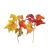 Fall Leaf Picks Maple Leaves 2 Assorted