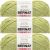 Spinrite Bernat Fabwoolous Yarn Lime Pack of 3 Skein