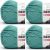 Spinrite Bernat Fabwoolous Yarn Teal Pack of 4 Skein