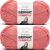 Spinrite Bernat Fabwoolous Yarn Rich Rose Pack of 2 Skein