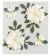 Jolees Boutique Dimensional Stickers Vanilla Flowers