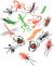 Assorted Plastic Insects 2 Inches