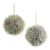 Pine Kissing Ball 8 Inches 2 Assorted Styles