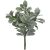 Lamb S Ear Spray Green/White 5 X 18 Inches