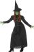 Karnival Costumes WICKED WITCHAdult M