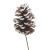 Christmas Floral Pinecone Picks Snowtip 4 inches