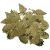 Sequin Large Leaf Gold ?0.875 Inch