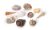 Assorted Large Natural Beach Sea Shell Package