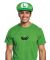 Men S New Luigi Hat And Mustache Necklace Costume Kit Green One Size