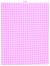 Plastic Canvas 10 X 13 Inches Neon Pink
