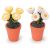 Timeless Miniatures Potted Daisies