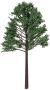 Diorama Tree with Powder Leaves 5.125 Inches