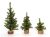 Canadian Pine Tree With Wood Look Base 49 Tips Green 8 Inches