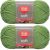 Spinrite Red Heart Soft Yarn Guacamole Pack of 2 Skein