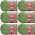 Spinrite Red Heart Soft Yarn Guacamole Pack of 6 Skein