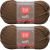 Spinrite Red Heart Soft Yarn Toast Pack of 2 Skein
