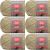 Spinrite Red Heart Soft Yarn Wheat Pack of 6 Skein