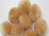 Beige Small Craft Pom Pom Puffs 1 Inch