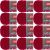 Spinrite Red Heart With Love Yarn Holly Berry Pack of 12 Skein