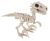 Seasons Small Raptor Dino Skeleton 5.5 Inch Bone Color
