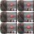 Spinrite Red Heart Unforgettable Yarn Echo Pack of 6 Skein