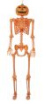 Seasons Pumpkin Head Skeleton Orange 60 inch 