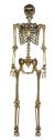 Seasons 68 Inch Gold Posable Skeleton Bone Color