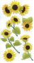 Jolees Boutique Dimensional Stickers Sunny Sunflowers