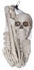 Bag Of Bones 12 Assorted Bones