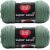 Spinrite Red Heart Super Saver Yarn Light Sage Pack of 2 Skein