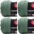 Spinrite Red Heart Super Saver Yarn Light Sage Pack of 4 Skein