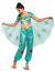Women S Jasmine Teal Deluxe Adult Large 12 14 