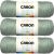 Caron Simply Soft Heathers Yarn Woodland Pack of 3 Skein