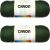 Spinrite Caron Simply Soft Solids Yarn Dark Sage Pack of 2 Skein
